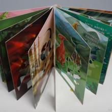 彩色印刷 河南彩色黑白書(shū)刊印刷廠(chǎng)家的專(zhuān)業(yè)服務(wù)與優(yōu)勢(shì)